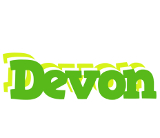 Devon picnic logo