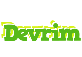 Devrim picnic logo