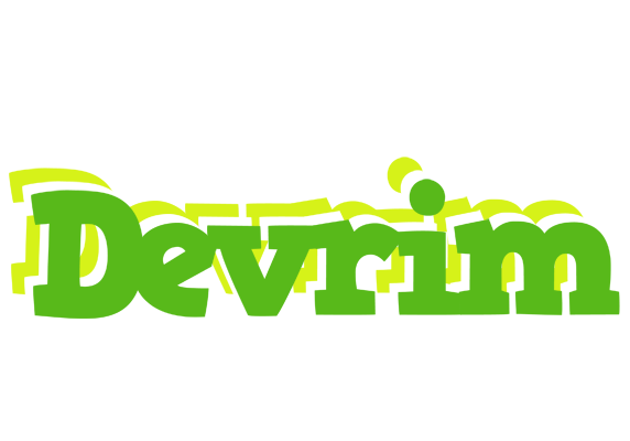 Devrim picnic logo