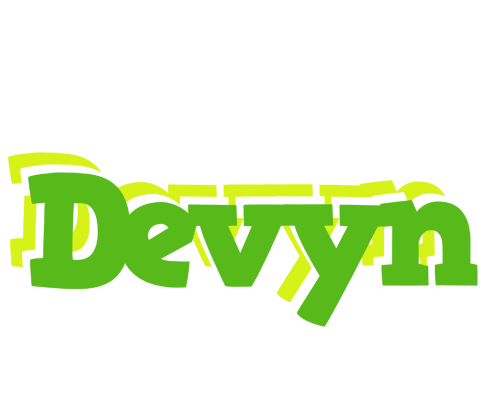 Devyn picnic logo