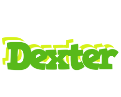 Dexter picnic logo