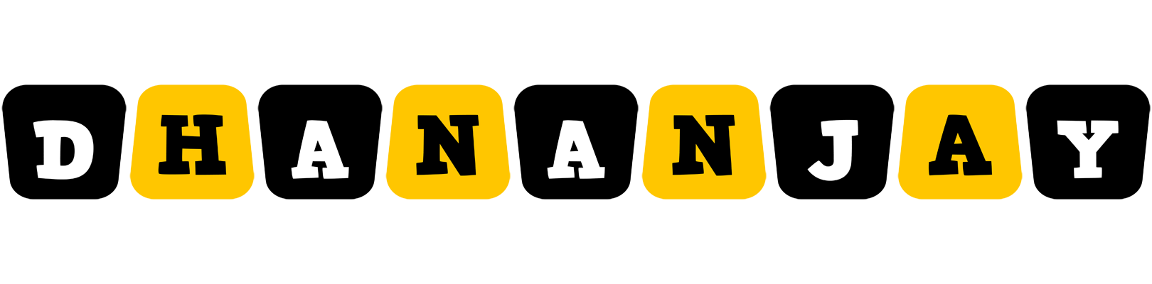 Dhananjay boots logo