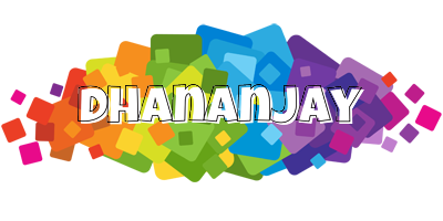 Dhananjay pixels logo