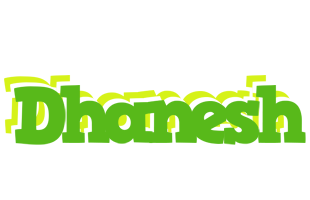 Dhanesh picnic logo