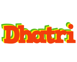 Dhatri bbq logo