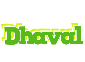 Dhaval picnic logo