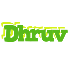 Dhruv picnic logo