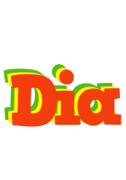 Dia bbq logo