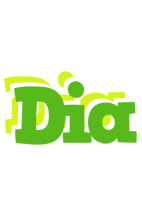 Dia picnic logo