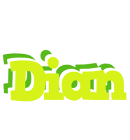 Dian citrus logo