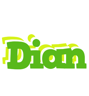 Dian picnic logo