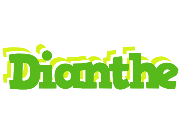 Dianthe picnic logo