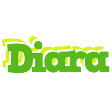 Diara picnic logo