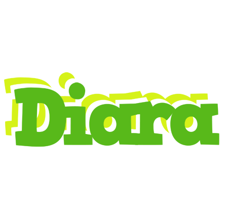 Diara picnic logo