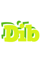 Dib citrus logo