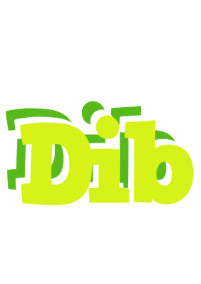 Dib citrus logo