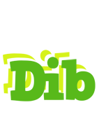 Dib picnic logo