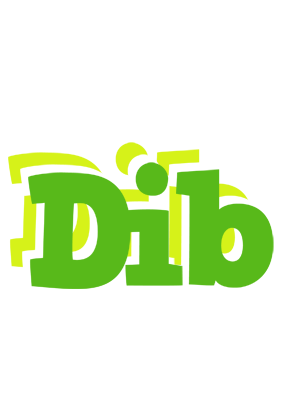 Dib picnic logo