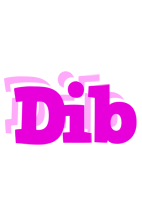 Dib rumba logo