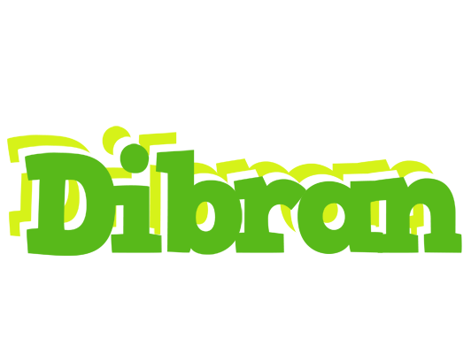 Dibran picnic logo