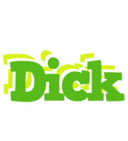 Dick picnic logo