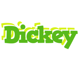 Dickey picnic logo