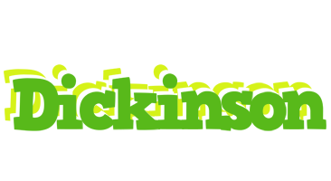 Dickinson picnic logo