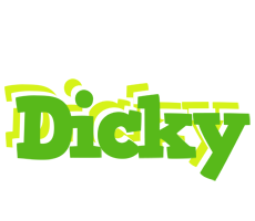 Dicky picnic logo