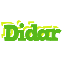 Didar picnic logo