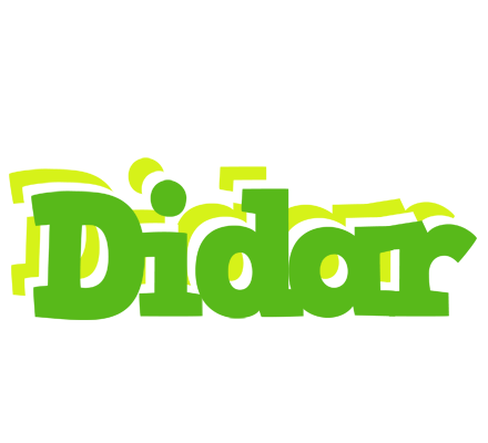 Didar picnic logo