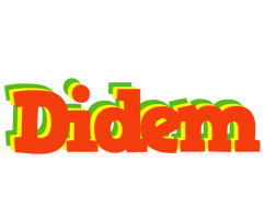 Didem bbq logo
