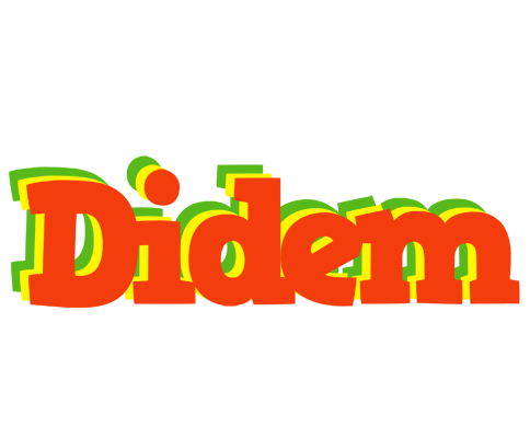 Didem bbq logo