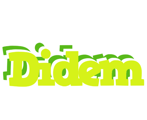 Didem citrus logo