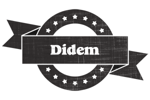 Didem grunge logo