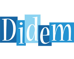 Didem winter logo