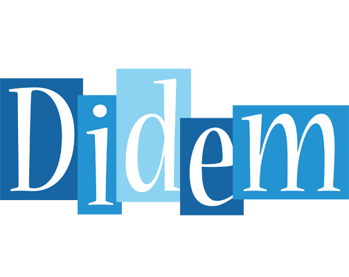 Didem winter logo