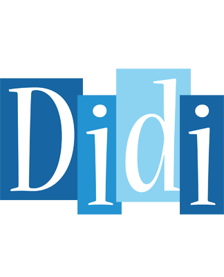 Didi winter logo