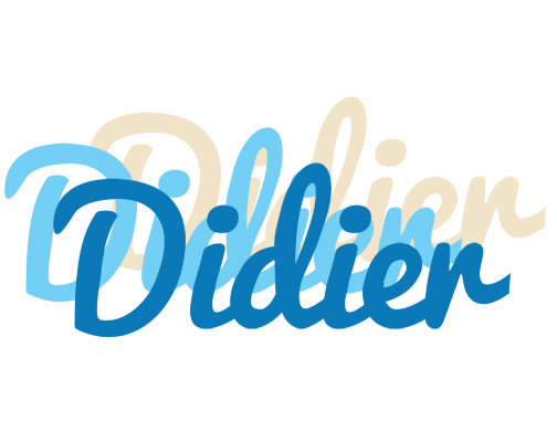Didier breeze logo