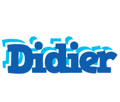 Didier business logo