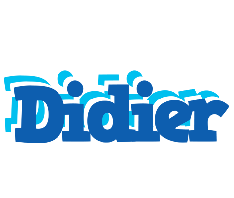 Didier business logo