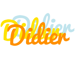 Didier energy logo