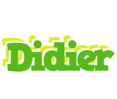 Didier picnic logo