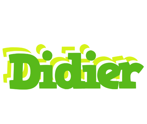 Didier picnic logo