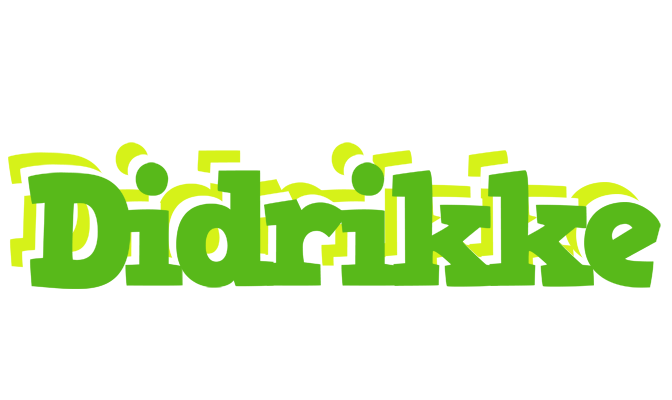 Didrikke picnic logo
