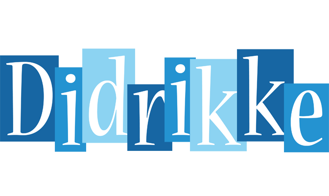 Didrikke winter logo