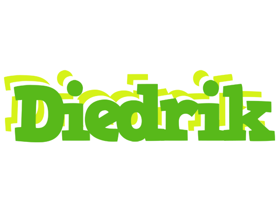 Diedrik picnic logo