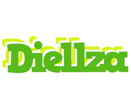 Diellza picnic logo