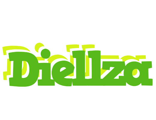 Diellza picnic logo