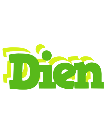 Dien picnic logo