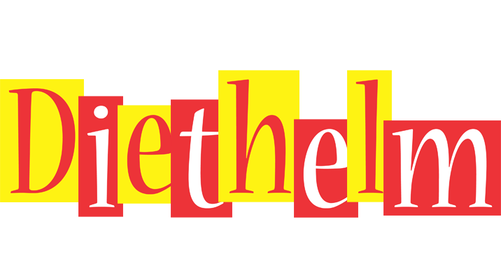 Diethelm errors logo
